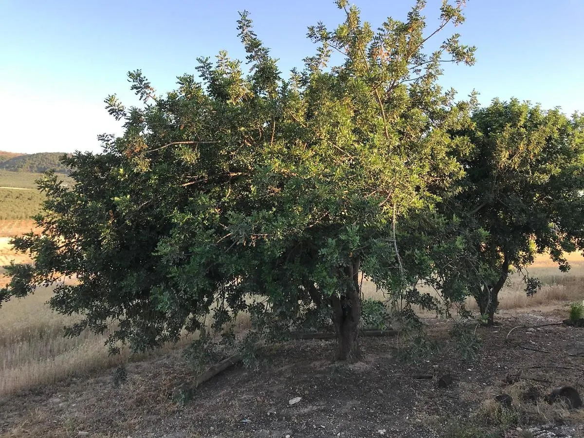 Cortijo Vista Alegre Villa Fuente de Piedra España